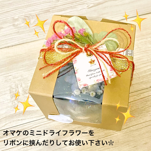 NEMOPHILA ネモフィラ サイン入りブロマイド5枚セット1 NEMOPHILA ネモフィラ サイン入りブロマイド5枚セット1 2025年