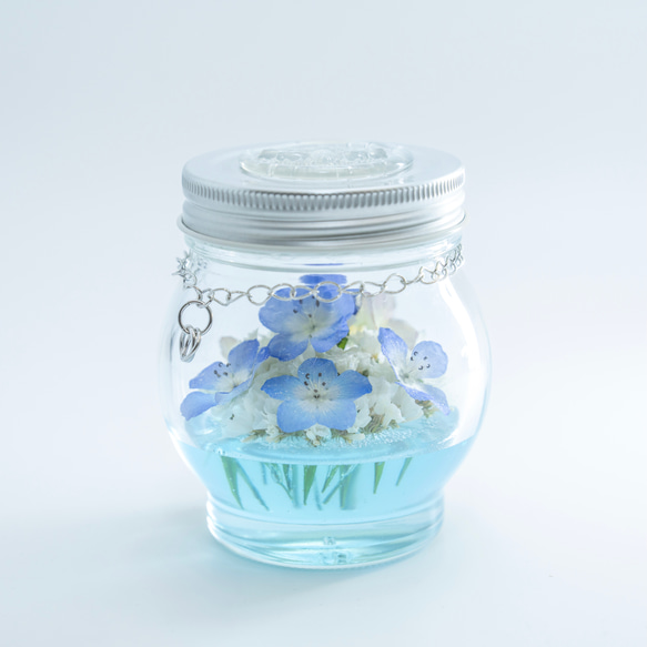 ボトルフラワー ネモフィラ アトリエRyoko 20cm×18cm お花 ドライ