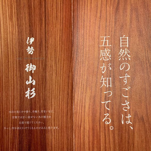 伊勢神宮　御山杉　ピアス②　シンプル　ナチュラル　御守りピアス 3枚目の画像