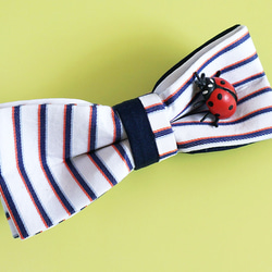 てんとう虫のチョウネクタイ・Ladybug-BOWTIE(jacquard stripe) 5枚目の画像