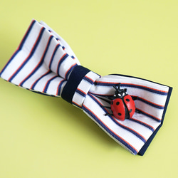 てんとう虫のチョウネクタイ・Ladybug-BOWTIE(jacquard stripe) 4枚目の画像