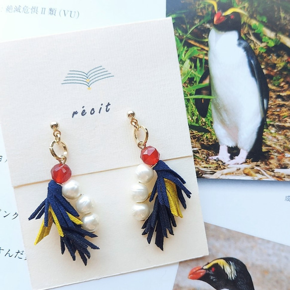 【Birds～フィヨルドランドペンギン～】ピアス 1枚目の画像