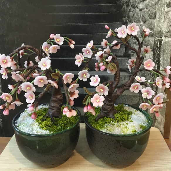 樹脂粘土製 ミニチュア盆栽〈夜光枝垂れ桜〉 盆栽 AB-Hachi