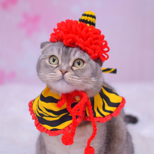 猫ﾁｬﾝ・犬ﾁｬﾝ用︎︎︎︎♪♪ 小鬼のスタイ♪♪ フリルのお色選べます