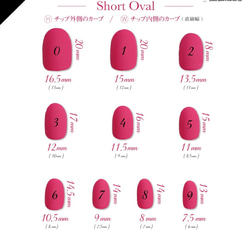 測定用チップ  2種類 4枚目の画像