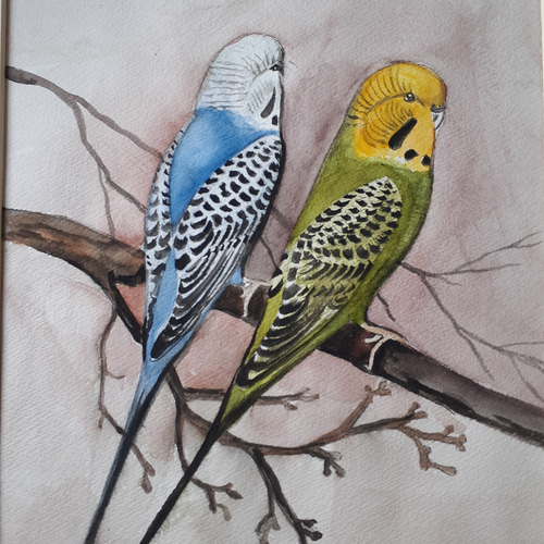 水彩画 セキセイインコ 絵画 makochin 通販 15275192｜Creema