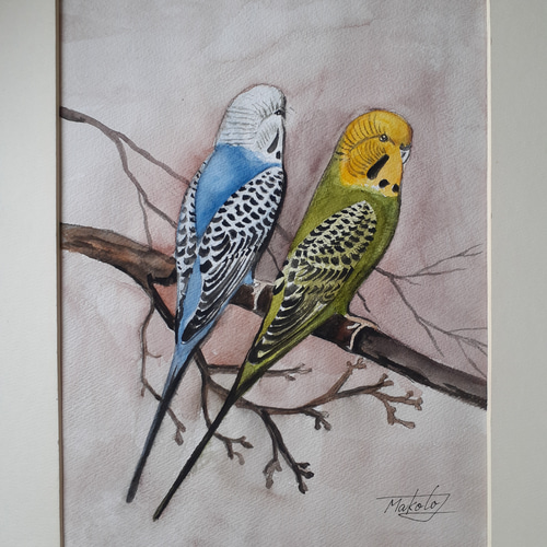 超人気新品 水彩画 15275192｜Creema 通販 makochin 絵画 セキセイインコ 絵画