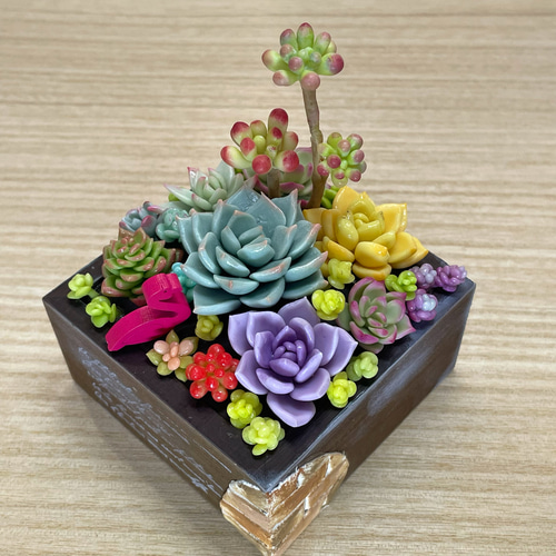 多肉植物樹脂粘土フラワーパーツセット ♬ ☆25th Anniversary イベント第一弾 🪴樹脂粘土で多肉植物を作ろう