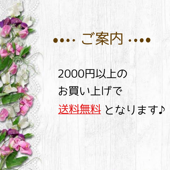 2000円以上で送料無料のご案内 1枚目の画像