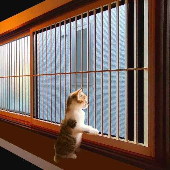 引取限定】猫のパーテーション 5連