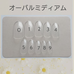 測定用ネイルチップはこちらからどうぞ♪ 3枚目の画像