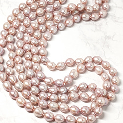【再販】淡水真珠 シャンパンピンク120cm超ロングネックレス✣ピアスorイヤリング付き✣ 2枚目の画像