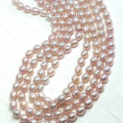 【再販】淡水真珠 シャンパンピンク120cm超ロングネックレス✣ピアスorイヤリング付き✣ 4枚目の画像