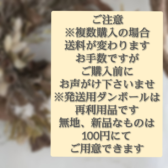 ＊ミモザ&リューカデンドロン  ドライフラワースワッグ 6枚目の画像