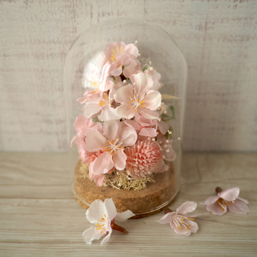 ガラスドームの中のお花見(桜) プリザーブドフラワー QUEUE DE RANUN