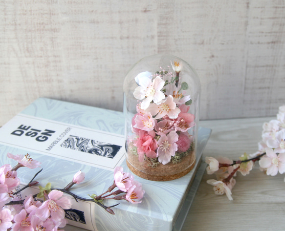 ガラスドームの中のお花見(桜)　 3枚目の画像