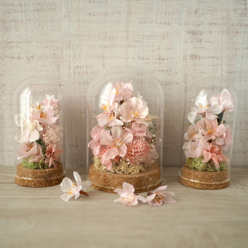 ガラスドームの中のお花見(桜) プリザーブドフラワー QUEUE DE RANUN