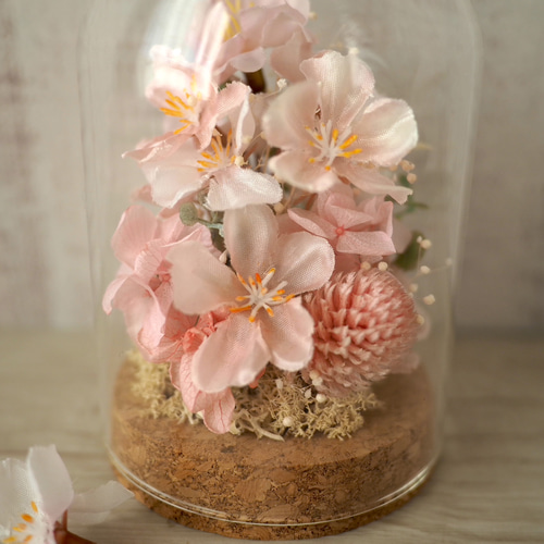 ガラスドームの中のお花見(桜) プリザーブドフラワー QUEUE DE RANUN