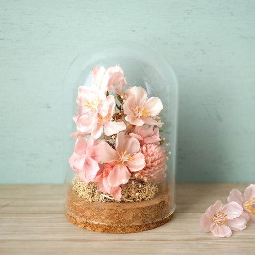 りり★ブリザーブドフラワー　特大　ガラスドーム ガラスドームの中のお花見(桜) プリザーブドフラワー QUEUE DE RANUN