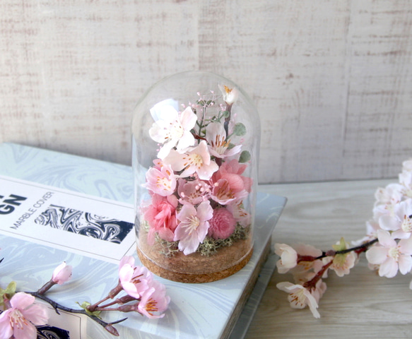 ガラスドームの中のお花見(桜)　 1枚目の画像