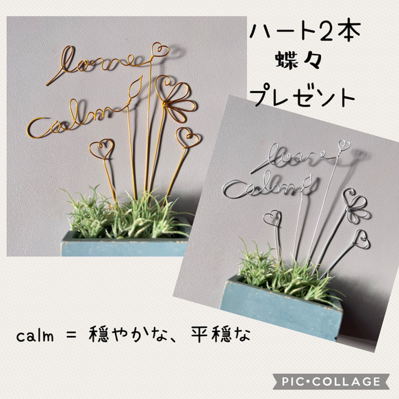 ガーデンピック169☆ミニピック☆6本セット多肉植物などに♪ タブ付き 