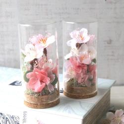 Creema限定 2個セット ガラスボトルの中のお花見(桜) 2枚目の画像