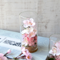 Creema限定 2個セット ガラスボトルの中のお花見(桜) 4枚目の画像