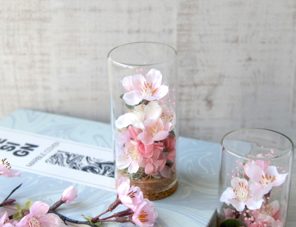 Creema限定 2個セット ガラスボトルの中のお花見(桜) 4枚目の画像