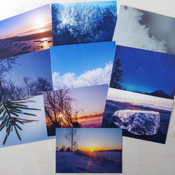 ポストカード4種×天然木の額/写真 インテリア 自然 葉っぱ 5枚目の画像