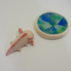 再販・ウーパールーパー 14枚目の画像