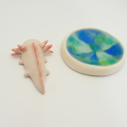 再販・ウーパールーパー 15枚目の画像