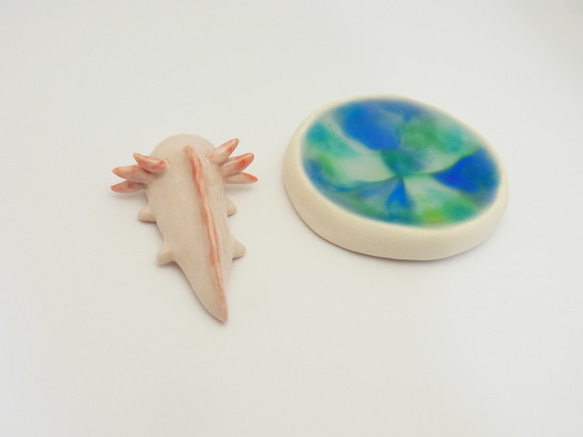 再販・ウーパールーパー 15枚目の画像