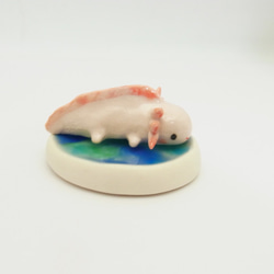 再販・ウーパールーパー 6枚目の画像