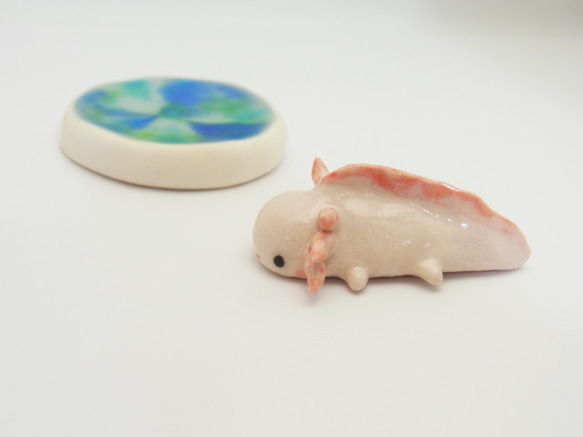 再販・ウーパールーパー 9枚目の画像