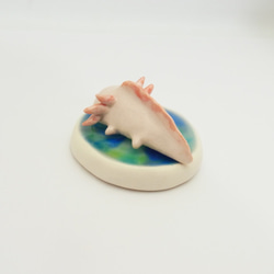 再販・ウーパールーパー 8枚目の画像