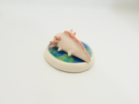 再販・ウーパールーパー 8枚目の画像