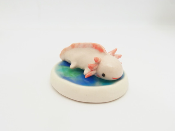 再販・ウーパールーパー 5枚目の画像