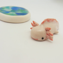 再販・ウーパールーパー 10枚目の画像