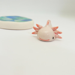 再販・ウーパールーパー 11枚目の画像