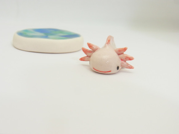 再販・ウーパールーパー 11枚目の画像