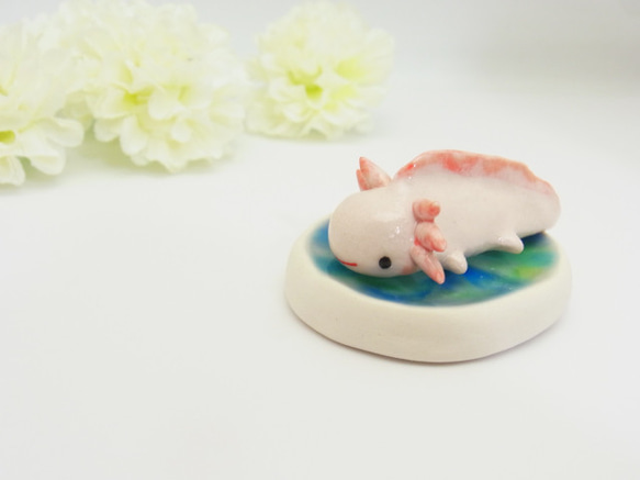 再販・ウーパールーパー 1枚目の画像