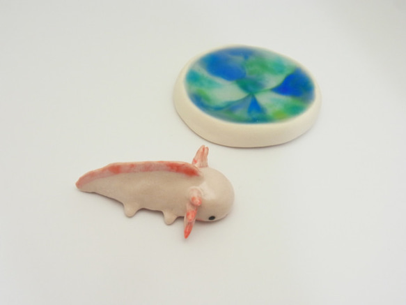 再販・ウーパールーパー 13枚目の画像