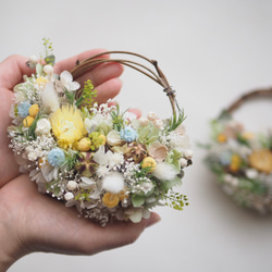 新作 ユーカリのハーフリース ドライフラワー minoka flower 通販