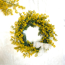 ミモザのリース ユーカリの葉を添えて…枯れないリース 直径 30センチ