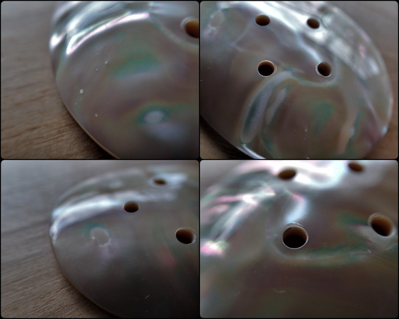 沖繩產夜光貝類 4 孔零件 橢圓形 大號 第13張的照片