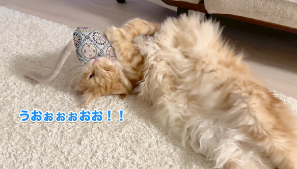安全に配慮した！キャットニップ入り☆フラワーぺろにゃんけりけり 8枚目の画像
