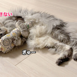 安全に配慮した！キャットニップ入り☆フラワーぺろにゃんけりけり 9枚目の画像