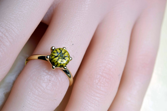 黄色い菊のガラスの指輪　ハンドメイド　リング　（10533-G1） ガラス工芸家の創作した一点物のガラスのアクセサリー。 7枚目の画像