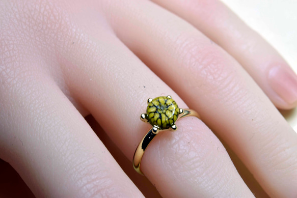 黄色い菊のガラスの指輪　ハンドメイド　リング　（10533-G1） ガラス工芸家の創作した一点物のガラスのアクセサリー。 4枚目の画像