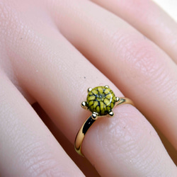 黄色い菊のガラスの指輪　ハンドメイド　リング　（10533-G1） ガラス工芸家の創作した一点物のガラスのアクセサリー。 2枚目の画像